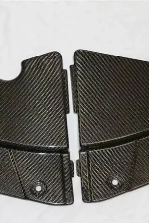 Ford Mustang TruFiber Carbon Fiber GT LG60 Radiator Extension Cover TC10024-LG60 Editor’s Pick