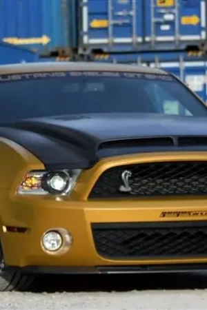 Price Cut Ford Mustang TruFiber Carbon Fiber Venom Hood TC10025-A53