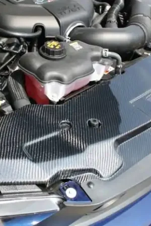 Ford Mustang TruFiber Carbon Fiber LG46 Radiator Cover TC10025-LG46 Deal