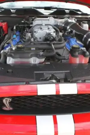 Ford Mustang TruFiber Carbon Fiber GT500 LG46 Radiator Cover TC10025-LG46KR Money Back Guarantee