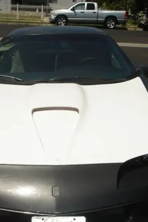Free Shipping Chevy Camaro TruFiber SS Version 2 Hood TF30020-A11