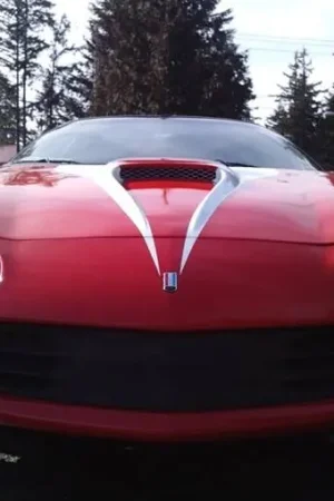 Chevy Camaro TruFiber SS Hood TF30021-A11 Budget