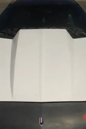 Brand New Chevy Camaro TruFiber 3" Cowl Hood TF30021-A49-4