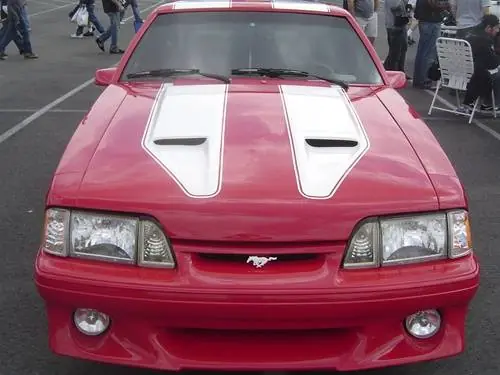 Ford Mustang TruFiber Mach 1 Hood TF10021-A29 Affordable