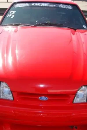 Express Delivery Ford Mustang TruFiber Cobra RR Hood TF10021-A32