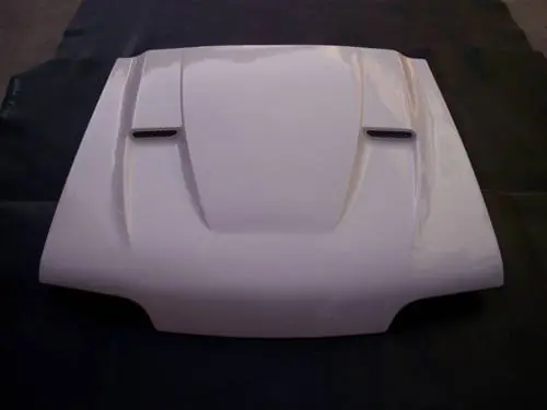 Get Yours Ford Mustang TruFiber Super Stallion Hood TF10021-A48