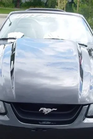 Limited Edition Ford Mustang TruFiber 3" Cowl Hood TF10023-A49-3