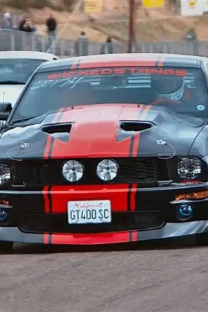 Ford Mustang TruFiber Mach 1 Hood TF10024-A29 Special Discount