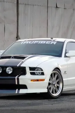 Ford Mustang TruFiber SH-GT Hood TF10024-A42 Deal