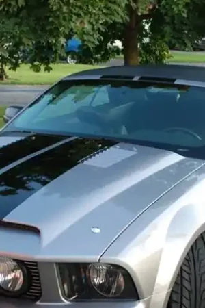 Ford Mustang TruFiber GT-S V.4 Hood TF10024-A53 Direct From Factory