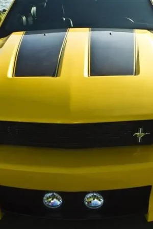 Order Now Ford Mustang TruFiber SVT Hood TF10024-A45