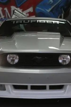 Holiday Sale Ford Mustang TruFiber 3" Cowl Hood TF10025-A49-3