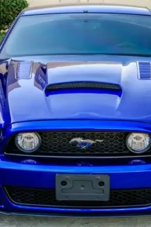 Ford Mustang TruFiber GT-S Vented Hood TF10025-A72KR New Arrival