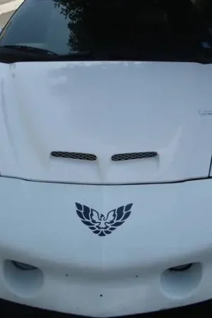 Direct From Manufacturer Pontiac Firebird TruFiber WS-6 V.2 Hood TF40020-A57