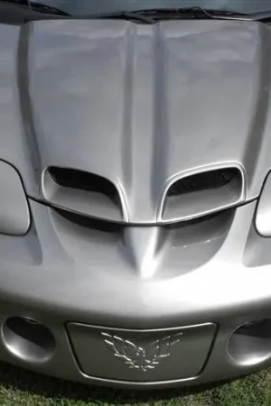 One Day Deal Pontiac Firebird TruFiber WS-6 Hood TF40021-A12