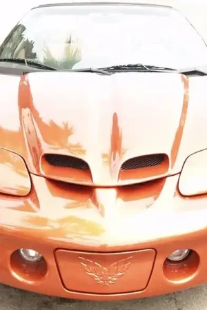 Place Order Pontiac Firebird TruFiber WS-9 Hood TF40021-A59