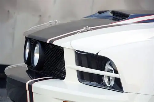 Fast Shipping Ford Mustang Urethane Headlight Splitters TF10024-LG29-UR