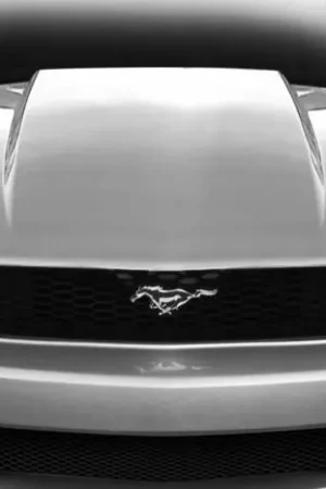 Ford Mustang Cowl Duraflex Body Kit- Hood 112870 Shop Now