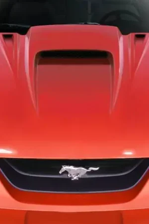 Free Shipping Universal Spyder 3 Duraflex Scoop 102200