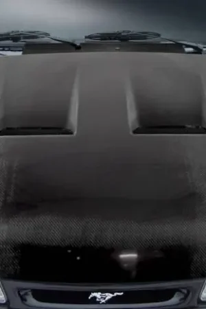 Affordable Ford Mustang Heat Extractor Carbon Fiber Creations Body Kit- Hood 113114