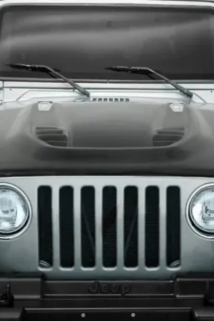 Save Now 97-06 Jeep Wrangler Power Dome Dritech Carbon Fiber Body Kit- Hood 113121