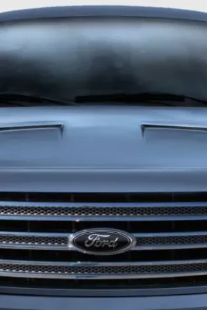 Best Choice 09-14 Ford F150 Ram Air Duraflex Body Kit- Hood 113342