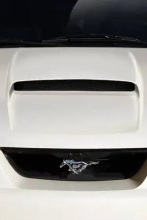 Ford Mustang CVX Version 2 Duraflex Body Kit- Hood 113345 Price Drop