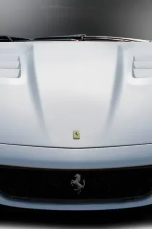 Money Back Guarantee Ferrari 599 AF-1 Race Aero Function Body Kit- Hood 113740