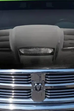 Money Back Guarantee Dodge Ram Viper Look Carbon Fiber Creations Body Kit- Hood!!! 113689