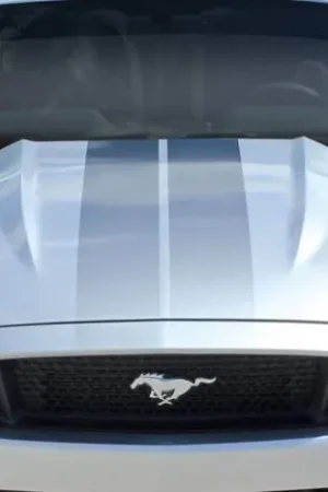Fast Shipping Ford Mustang R-Spec Duraflex Hood Vents!!! 113889