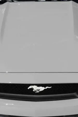 Seasonal Sale Ford Mustang R-Spec Carbon Fiber Creations Scoop 113890