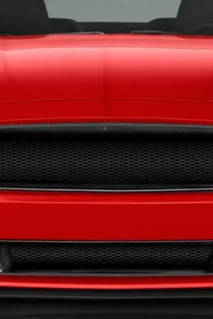 Ford Mustang CVX Carbon Fiber Creations Upper Grill/Grille 113496 Sale