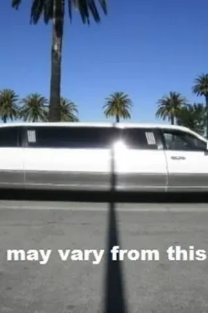 TOWN CAR Limousine 69.5" STRETCH QAA Stainless Rocker Panel Trim TH38687 Money Back Guarantee