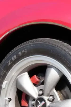 FORD MUSTANG 2dr QAA Stainless 4pcs Wheel Well Accent WQ39352 Don’t Miss Out