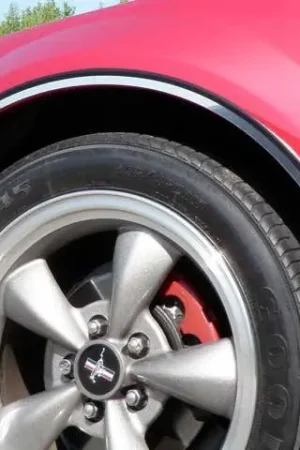 FORD MUSTANG 2dr QAA Stainless 4pcs Wheel Well Accent WQ39351 Budget