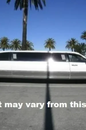 LINCOLN TOWN CAR 70" QAA Stainless 12pcs Rocker Panel Trim TH40692 One Day Deal