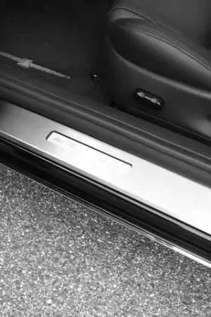 FORD THUNDERBIRD 2dr QAA Stainless 2pcs Door Sill Trim DS43672 Buy Direct