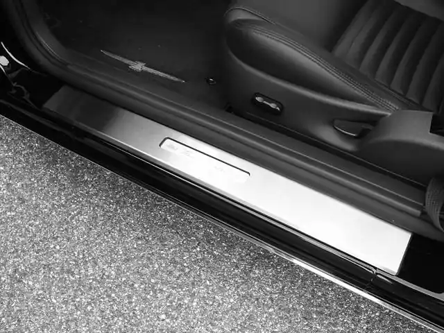 FORD THUNDERBIRD 2dr QAA Stainless 2pcs Door Sill Trim DS43672 Buy Direct