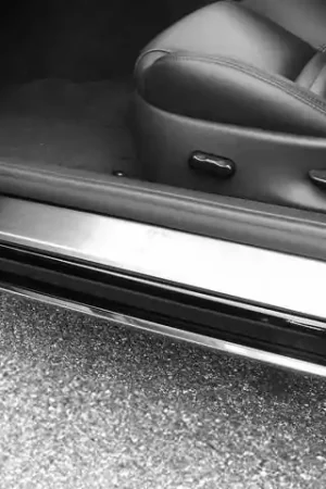 Original FORD THUNDERBIRD 2dr QAA Stainless 2pcs Door Sill Trim DS43670