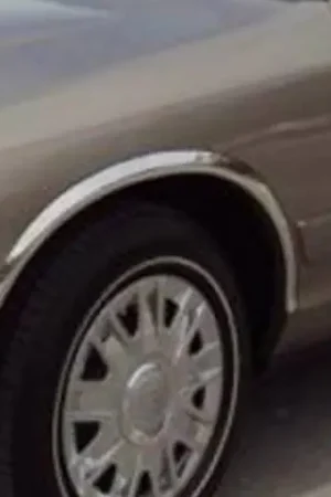 GRAND MARQUIS 4dr QAA Molded Stainless 4pcs Wheel Well Fender Trim WZ43483 Money Back Guarantee