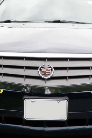 Free Delivery CADILLAC SRX 4dr QAA Stainless 4pcs Grille Accent SG44260