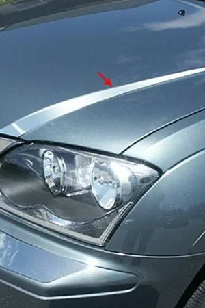 Luxury CHRYSLER PACIFICA 4dr QAA Stainless 4pcs Hood Trim HT44750