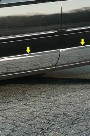 CHRYSLER PACIFICA 4dr QAA Stainless 8pcs Rocker Panel Trim TH44751 Exclusive Offer
