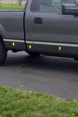 FORD F-150 2dr QAA Stainless 10pcs Molding Insert MI44311 Genuine