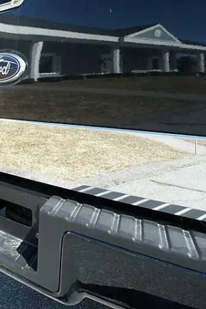 Today Only FORD F-150 2/4dr QAA Stainless 1pcs Tailgate Accent RT44308