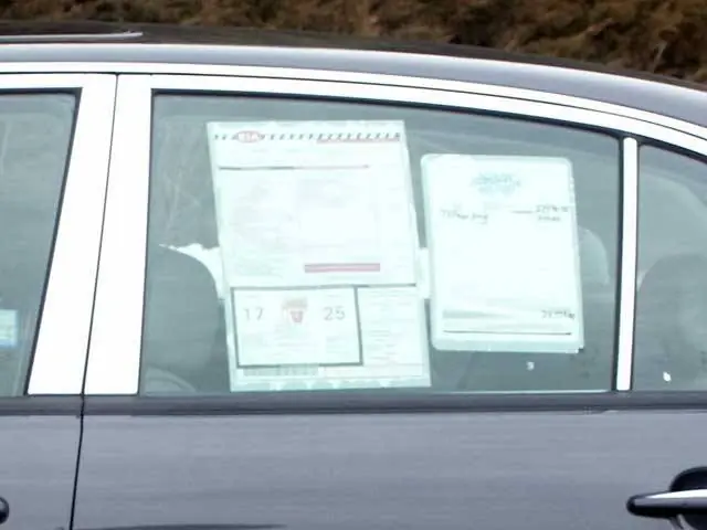 One Day Deal KIA AMANTI 4dr QAA Stainless 6pcs Pillar Trim PP24801