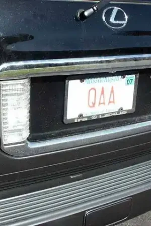 Super Sale LEXUS LX470 4dr QAA Stainless 2pcs Trunk Accent Trim TP24120