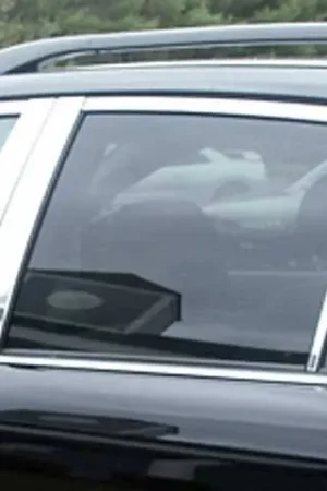 LEXUS RX400h 4dr QAA Stainless 6pcs Pillar Trim PP24125 Today Only