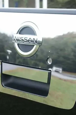 Express Delivery Fits Nissan TITAN 2/4dr QAA Stainless 2pcs Tailgate Handle Accent TGH24520