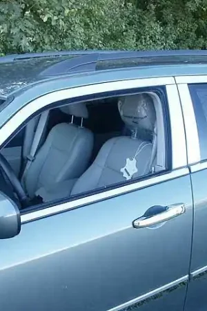 Trusted Brand DODGE MAGNUM 4dr QAA Stainless 14pcs Window Accent Package WP45920